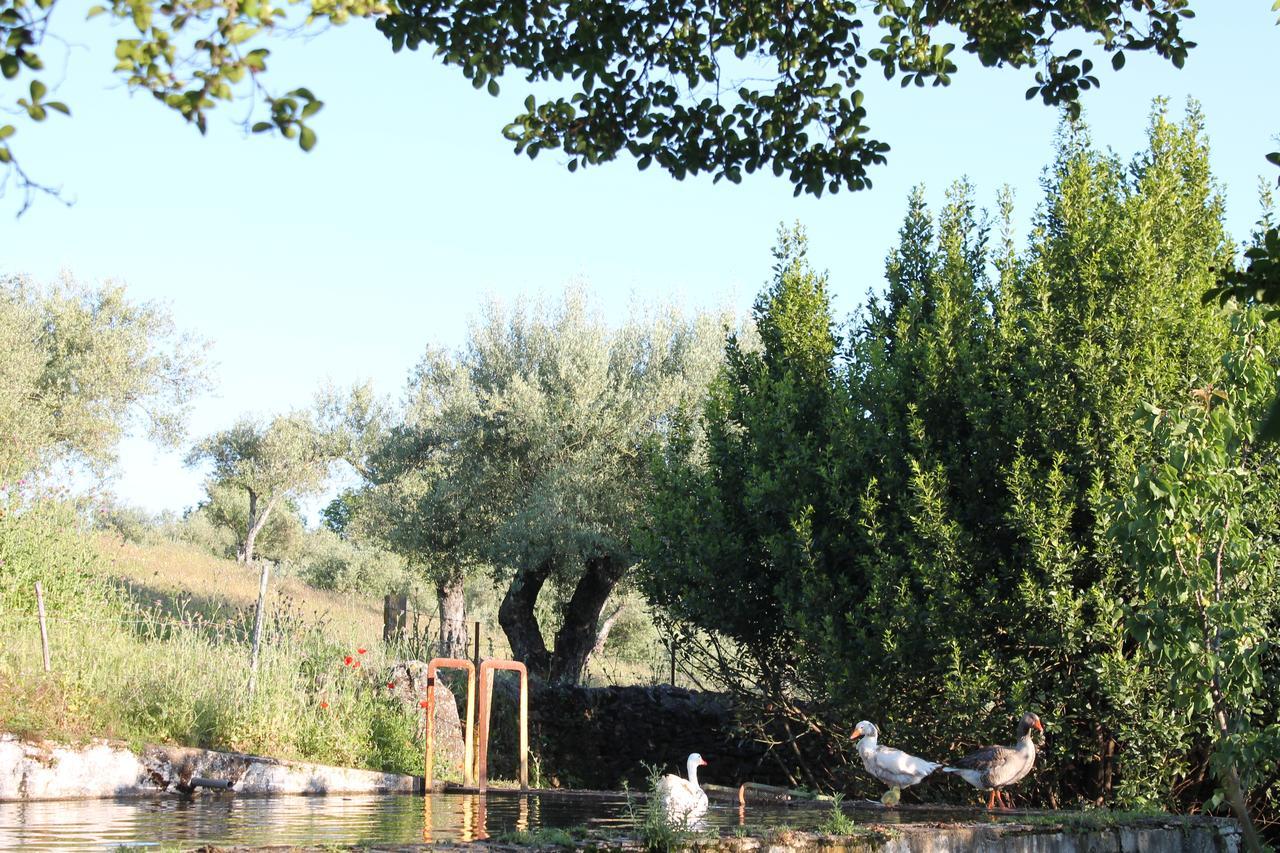 Finca La Carnicera Константина Экстерьер фото