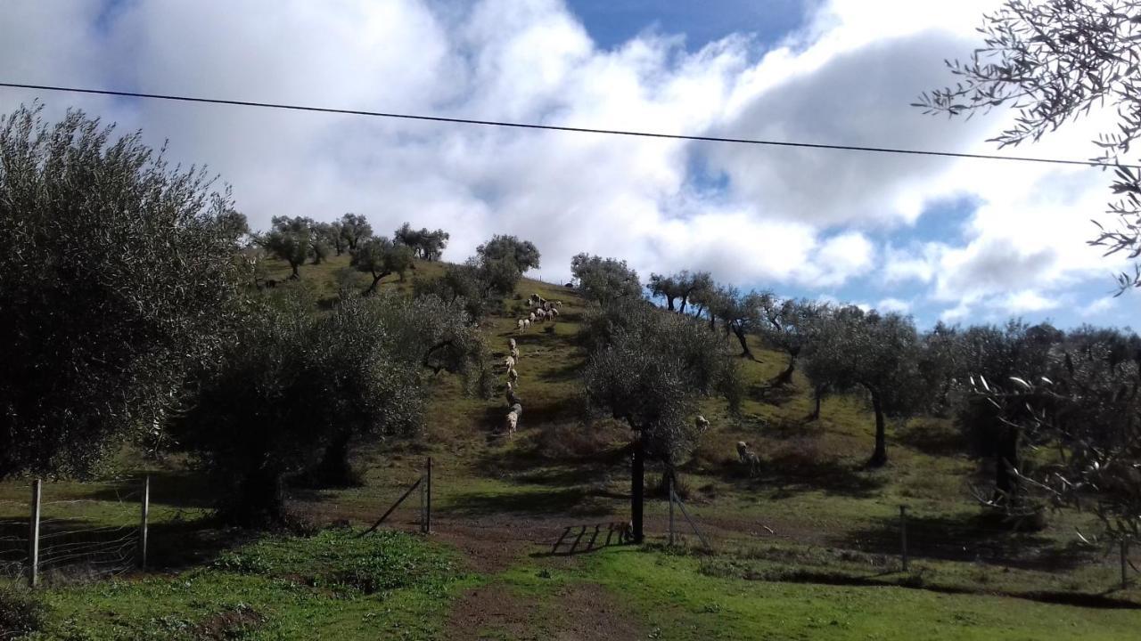 Finca La Carnicera Константина Экстерьер фото