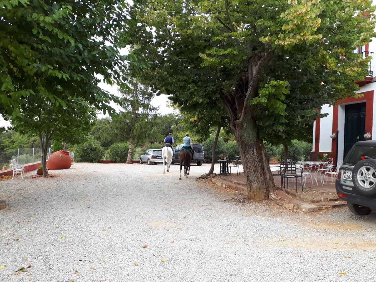 Finca La Carnicera Константина Экстерьер фото