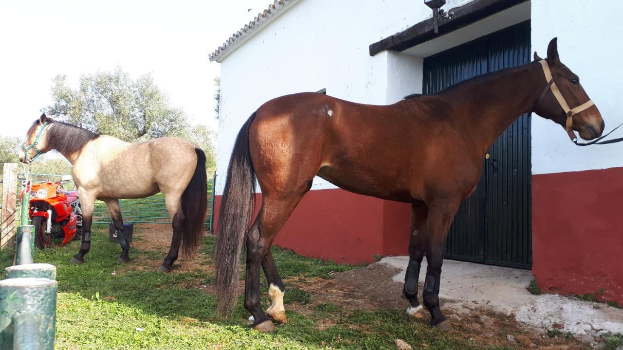 Finca La Carnicera Константина Экстерьер фото